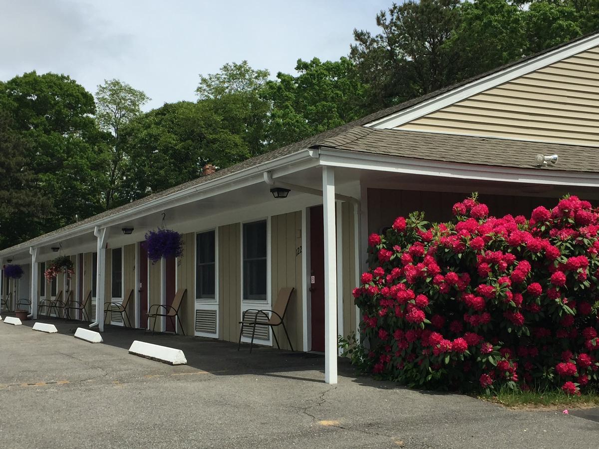 Viking Shores Motor Inn Eastham Eksteriør bilde